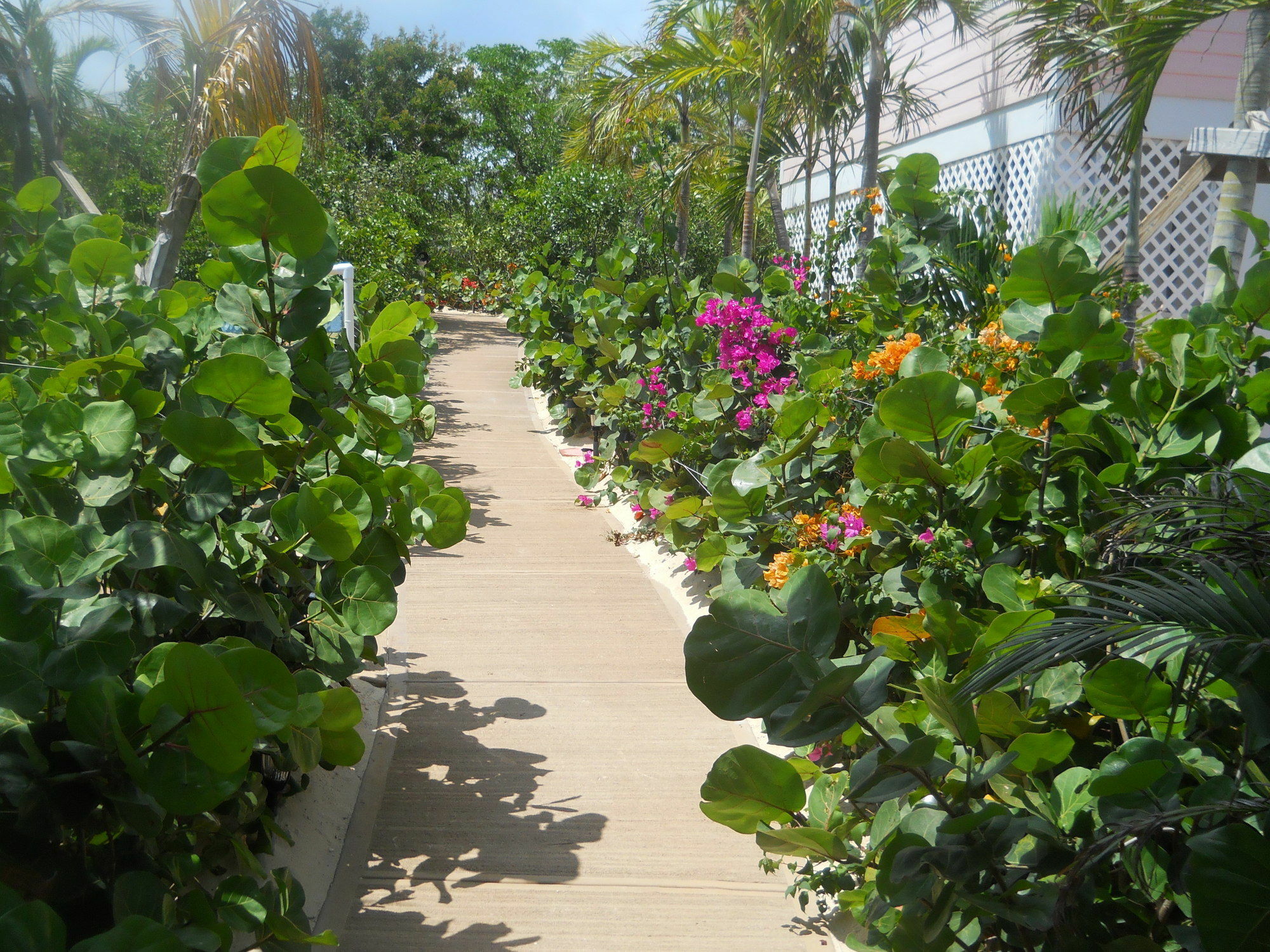 Harbor Breeze Villas Clarence Town ภายนอก รูปภาพ